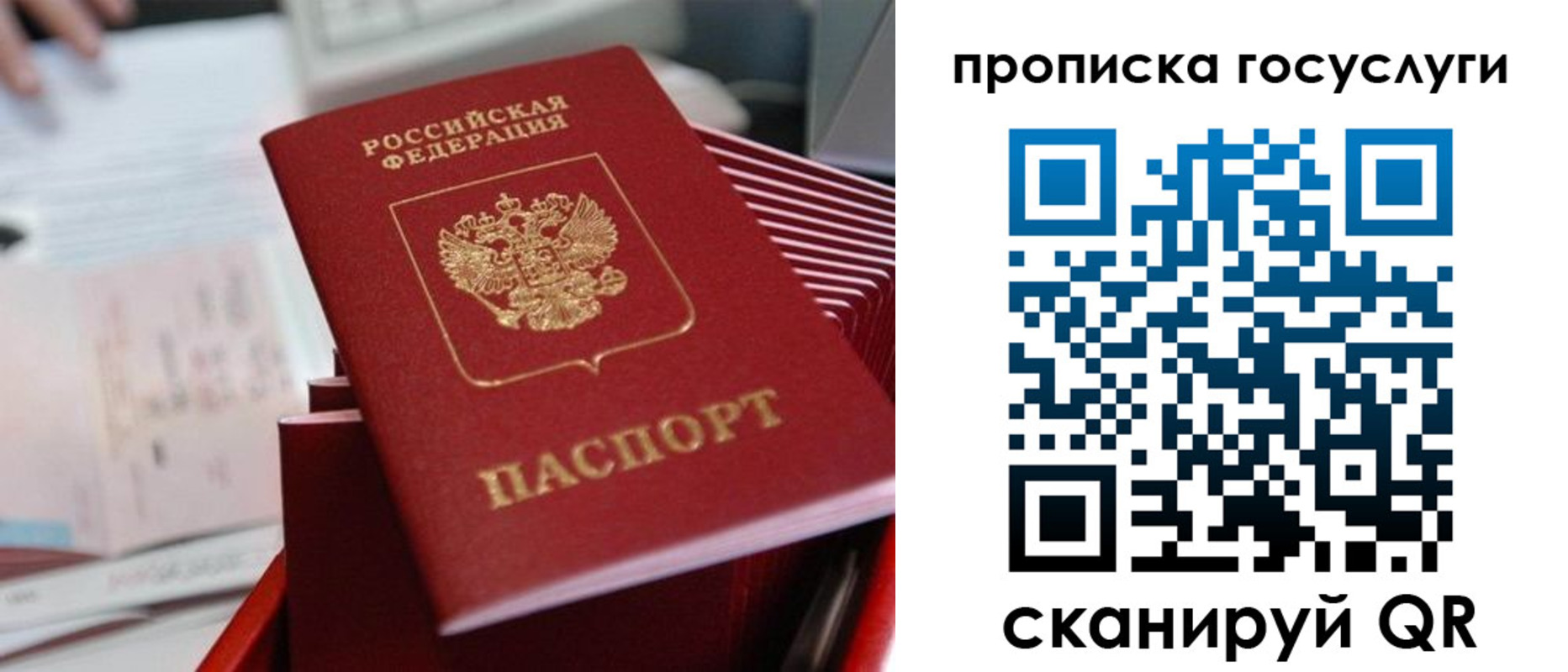 прописка законно в Котласе